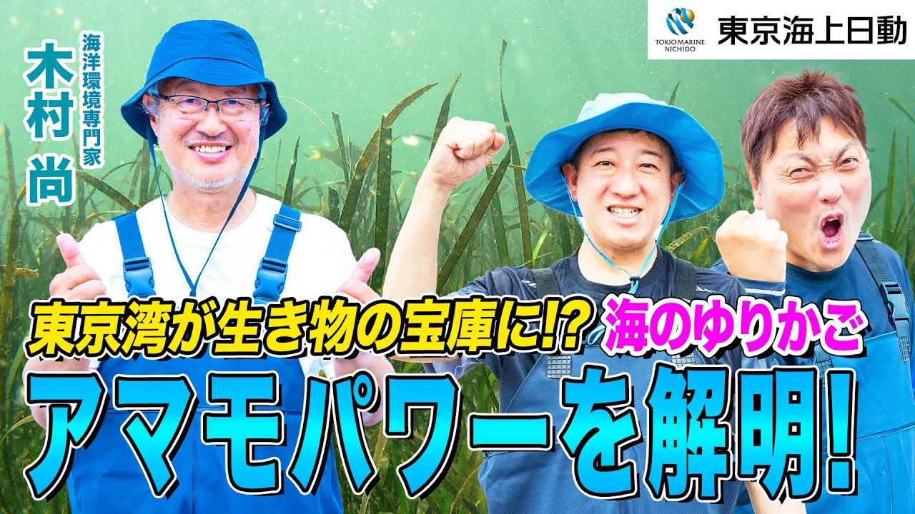 【初耳】東京湾が生き物の宝庫に。海のゆりかご アマモパワーを解明