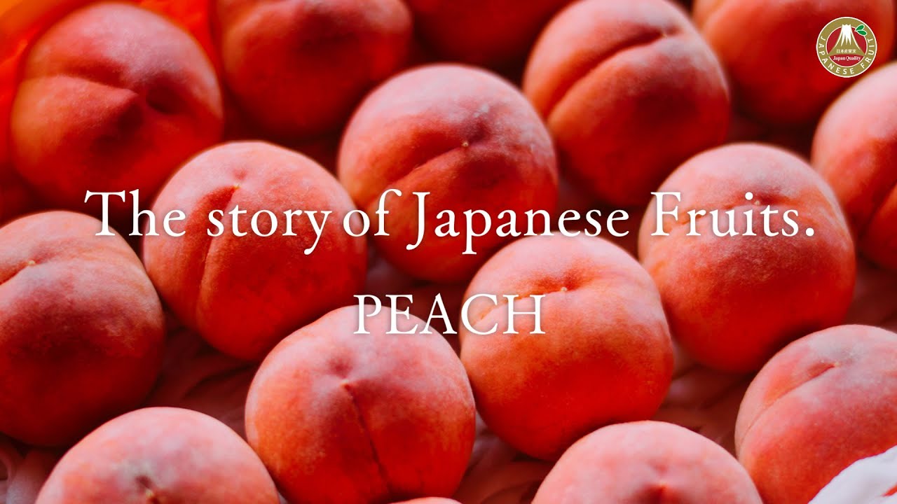 The Story of Japanese Fruits. – Peach (English)