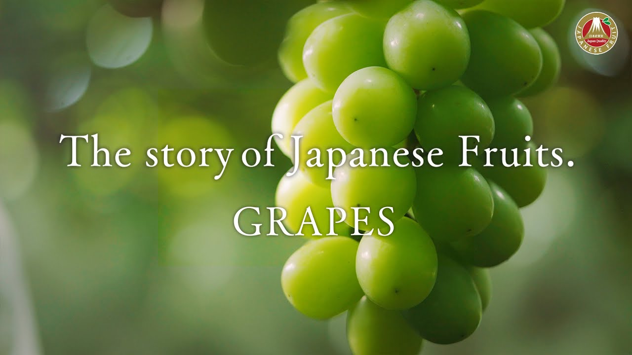 The Story of Japanese Fruits. – Grapes (English)